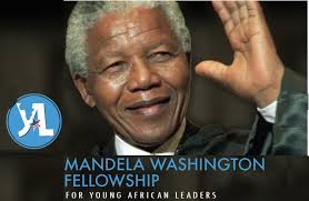 2015 Mandela Washington Fellowship Programme