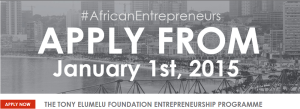elumelu entrepreneurship programme