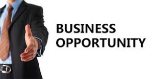 2016 business opportunities