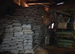 FEED MILL BUSINESS PLAN IN NIGERIA 1