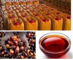 PALM OIL PRODUCTION AND PROCESSING BUSINESS PLAN IN NIGERIA 2