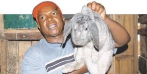 Rabbit Farming Business plan in Nigeria 3