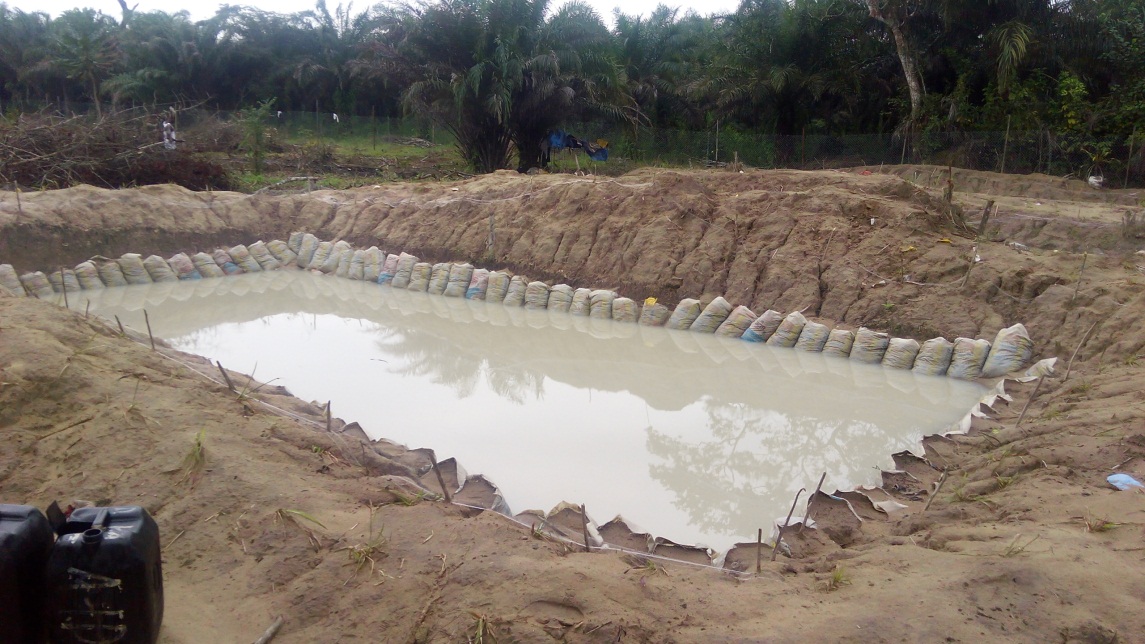 5 Ways to Make Money from Cat Fish Farming in Nigeria