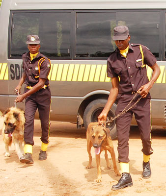 DOG TRAINING BUSINESS PLAN IN NIGERIA