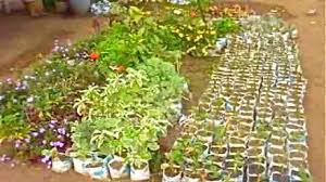 HORTICULTURE BUSINESS PLAN IN NIGERIA