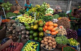 ORGANIC FOOD STORE BUSINESS PLAN IN NIGERIA