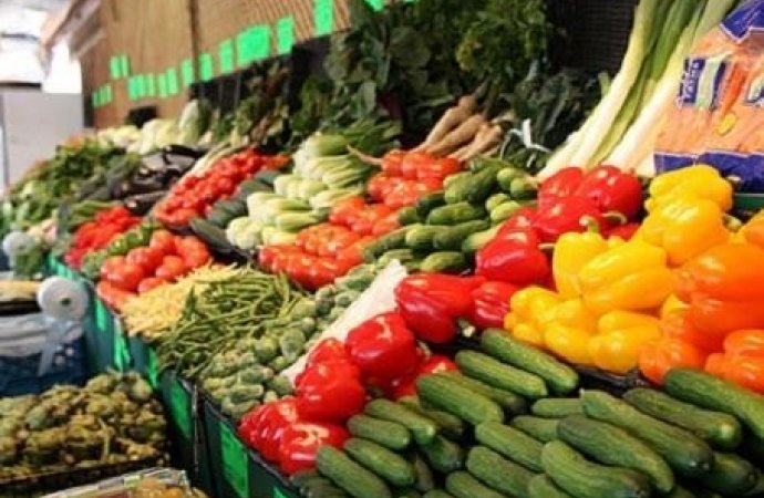 GREEN VEGETABLES CULTIVATION AND SALES BUSINESS PLAN IN NIGERIA