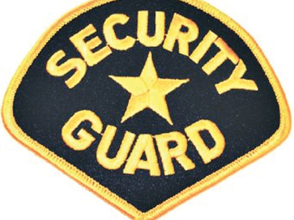 SECURITY GUARD COMPANY BUSINESS PLAN IN NIGERIA