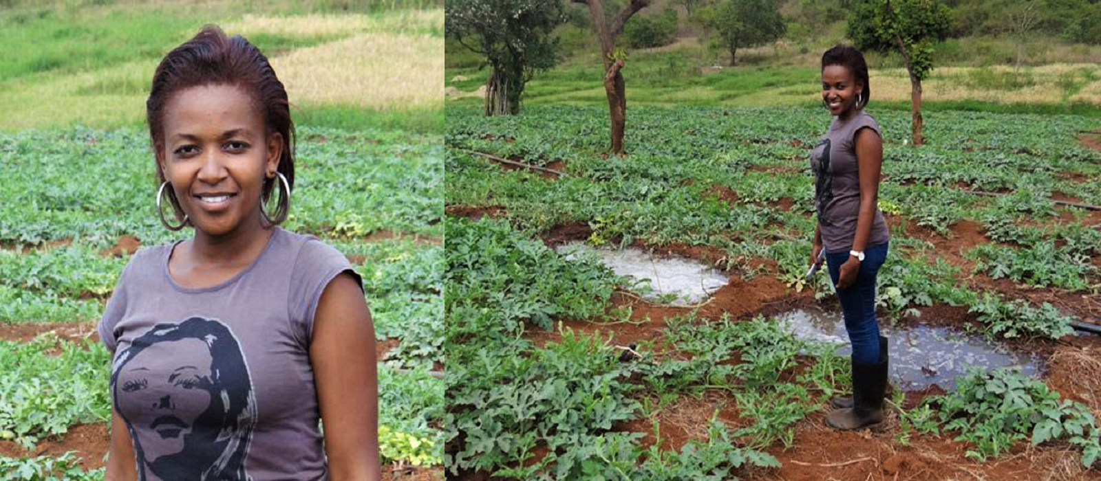 WATER MELON FARMING BUSINESS PLAN IN NIGERIA