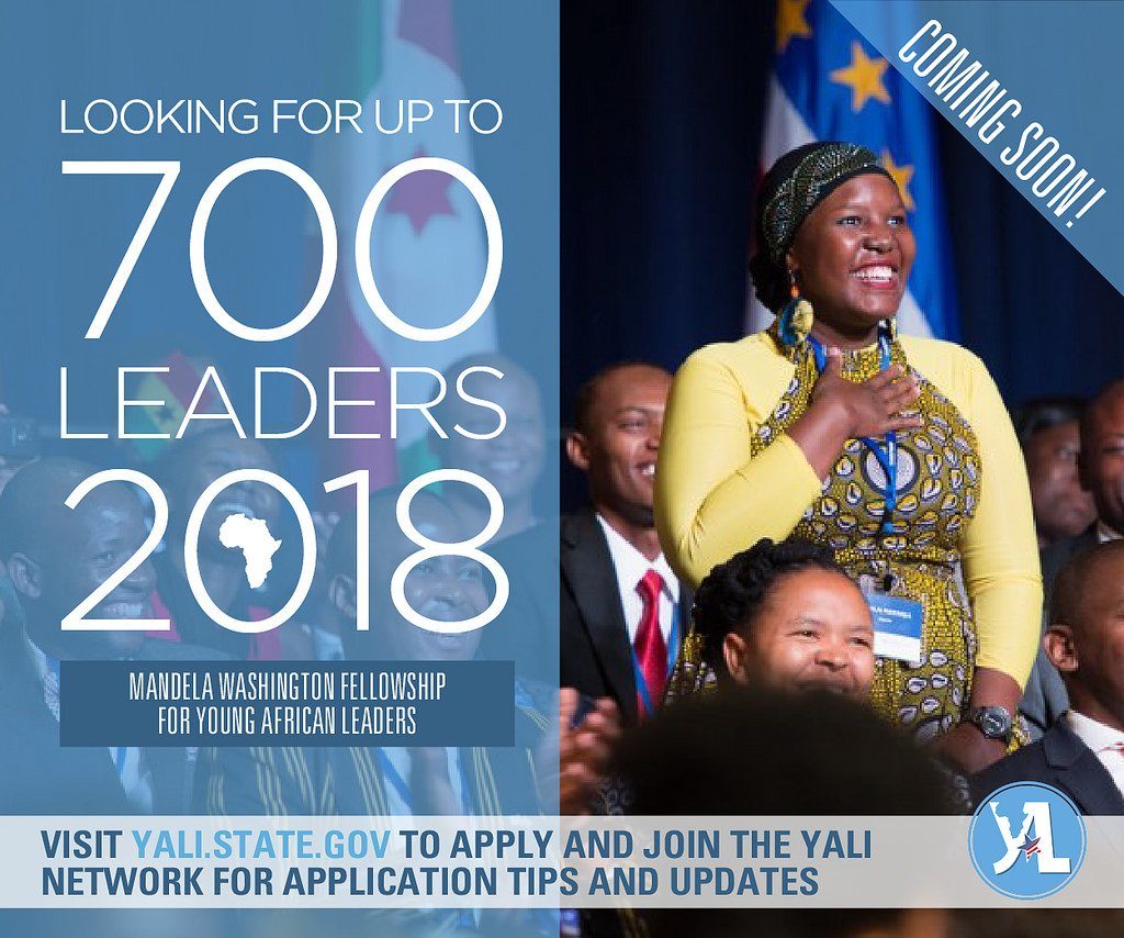 The 2018 Mandela Washington Fellowship application