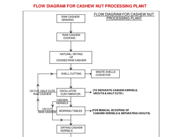 CASHEW NUT PROCESSING BUSINESS PLAN IN NIGERIA