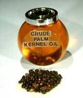 PALM KERNEL OIL EXTRACTION BUSINESS PLAN IN NIGERIA