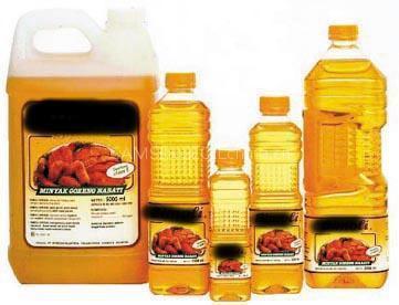 PALM KERNEL OIL EXTRACTION BUSINESS PLAN IN NIGERIA