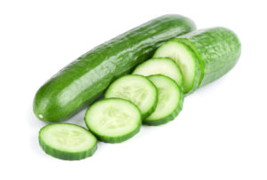 CUCUMBER FARMING AND PROCESSING BUSINESS PLAN IN NIGERIA