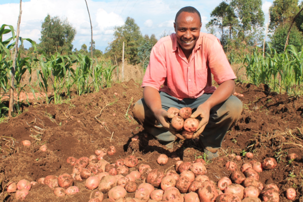 POTATO FARMING AND PROCESSING BUSINESS PLAN IN NIGERIA