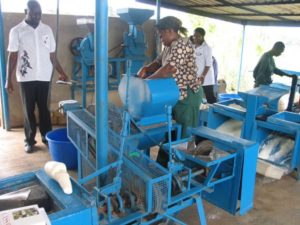 HOW TO START A PROFITABLE CASSAVA PROCESSING BUSINESS