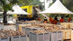 HOW TO START A PROFITABLE CASSAVA PROCESSING BUSINESS