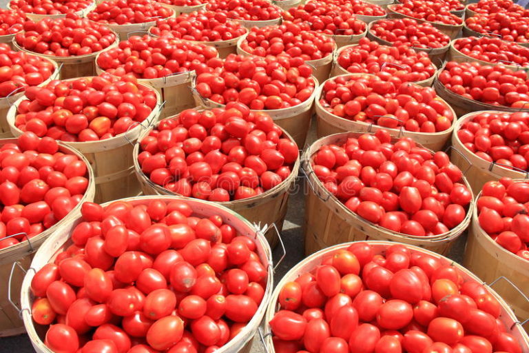 12 Ways To Profit From The Tomato Value Chain In Nigeria