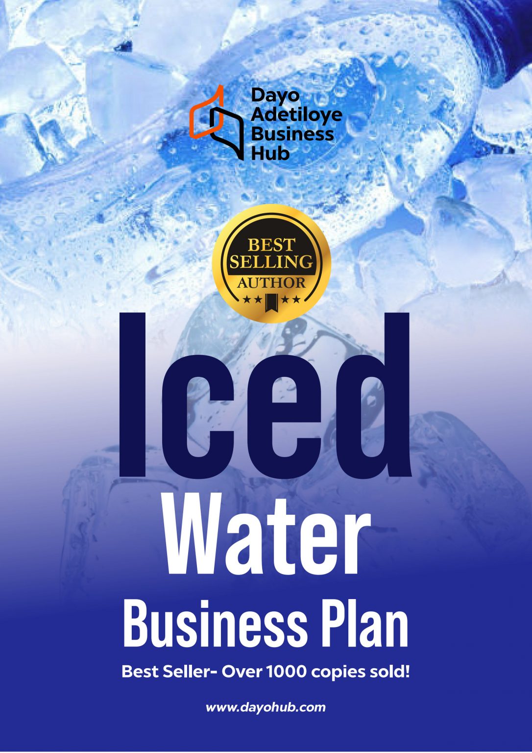 Ice Block Production Business Plan Dayo Adetiloye Shop
