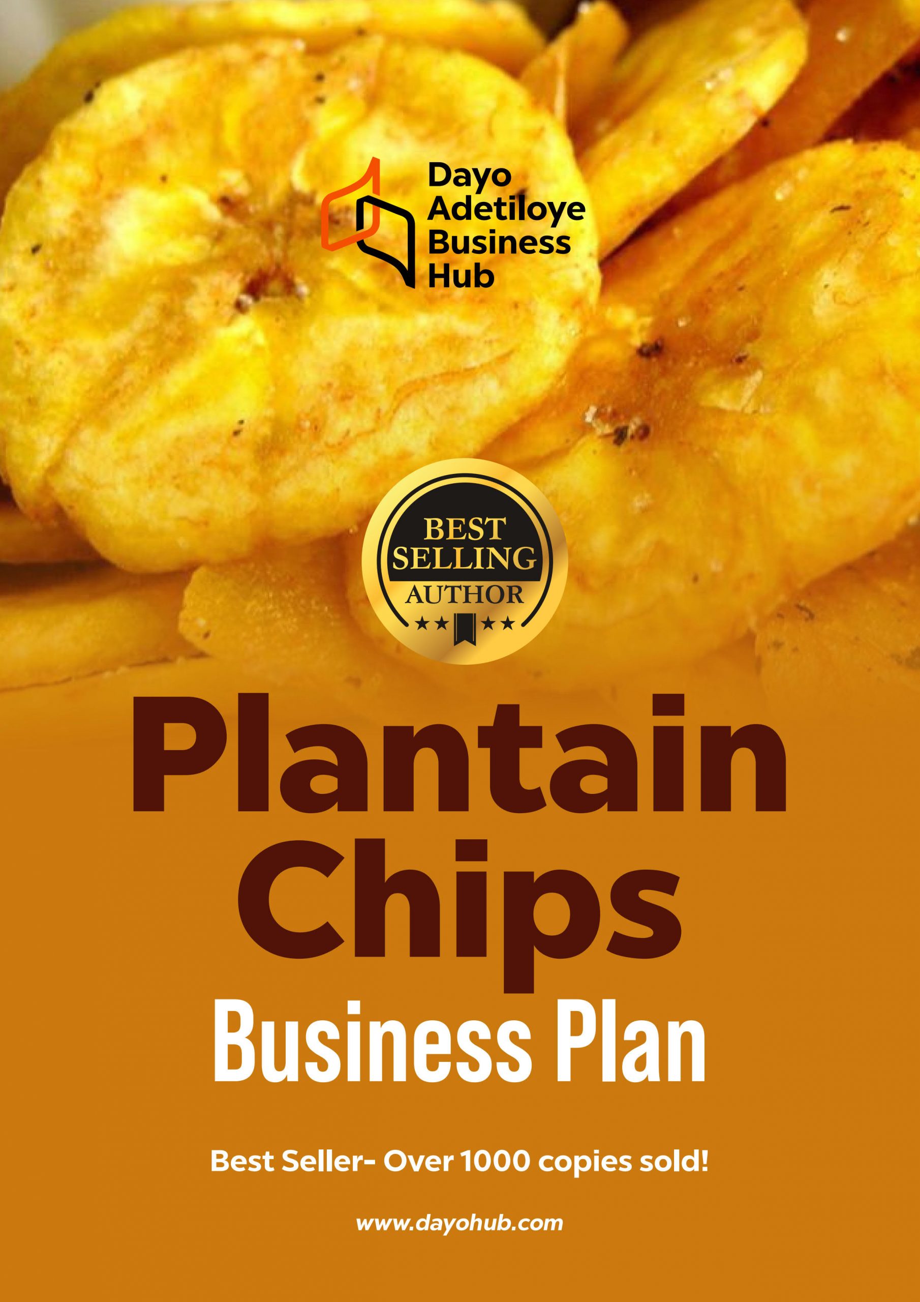 business plan for selling chips