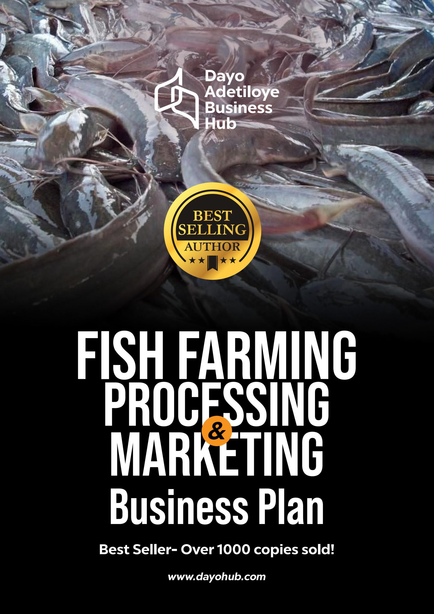 business plan for catfish production