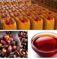 PALM-OIL-PRODUCTION-AND-PROCESSING-BUSINESS-PLAN-IN-NIGERIA-2