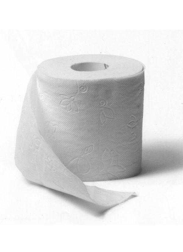 TISSUE-PAPER-SERVIETTE-MANUFACTURING-BUSINESS-PLAN-IN-NIGERIA-4-741×1024