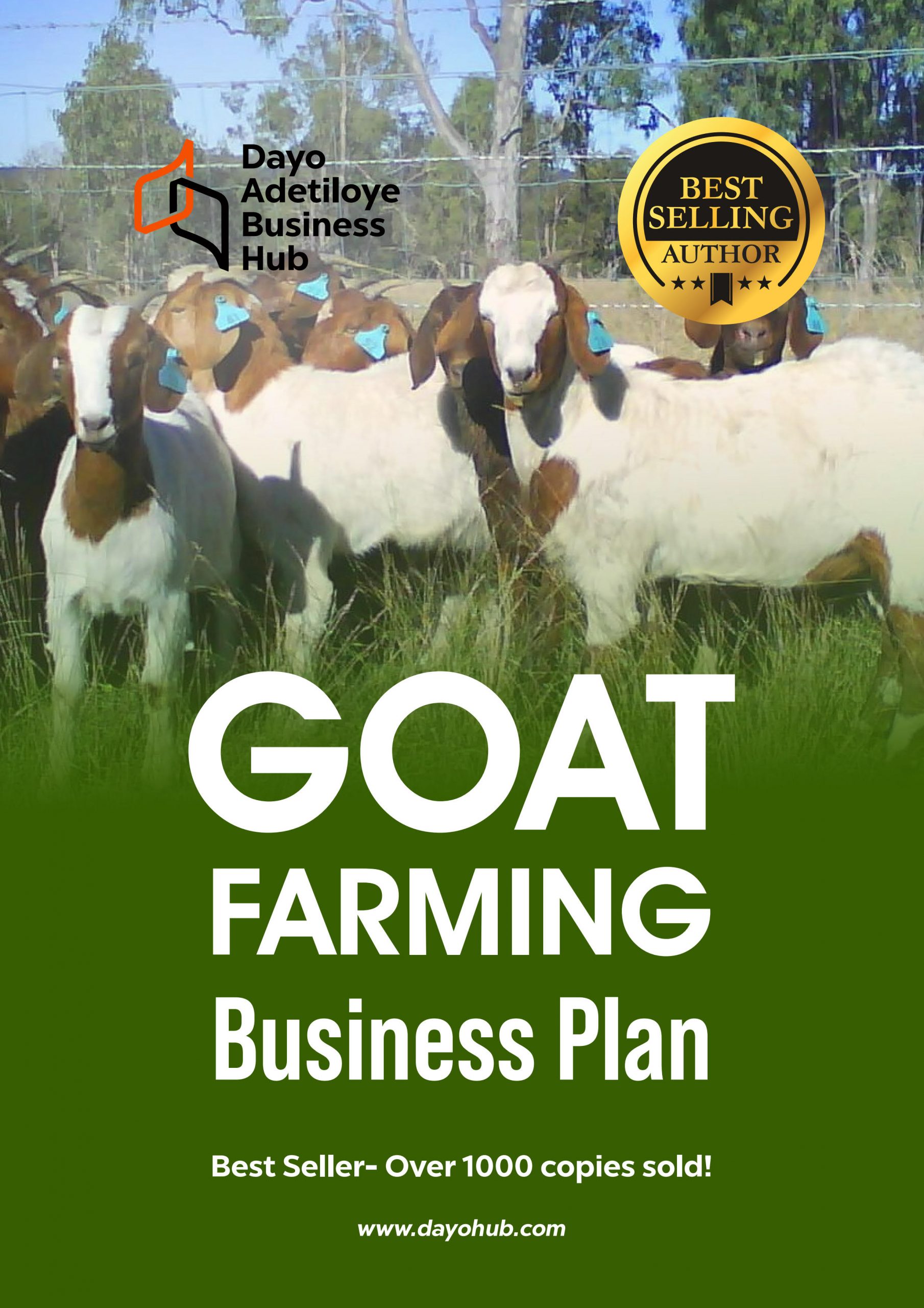 best goat farming business plan