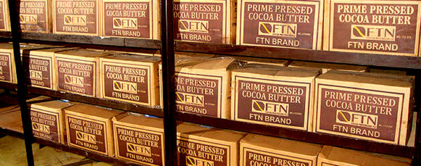 COCOA-FARMING-AND-PROCESSING-BUSINESS-PLAN-IN-NIGERIA-3