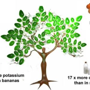 Herb business plan 07 image