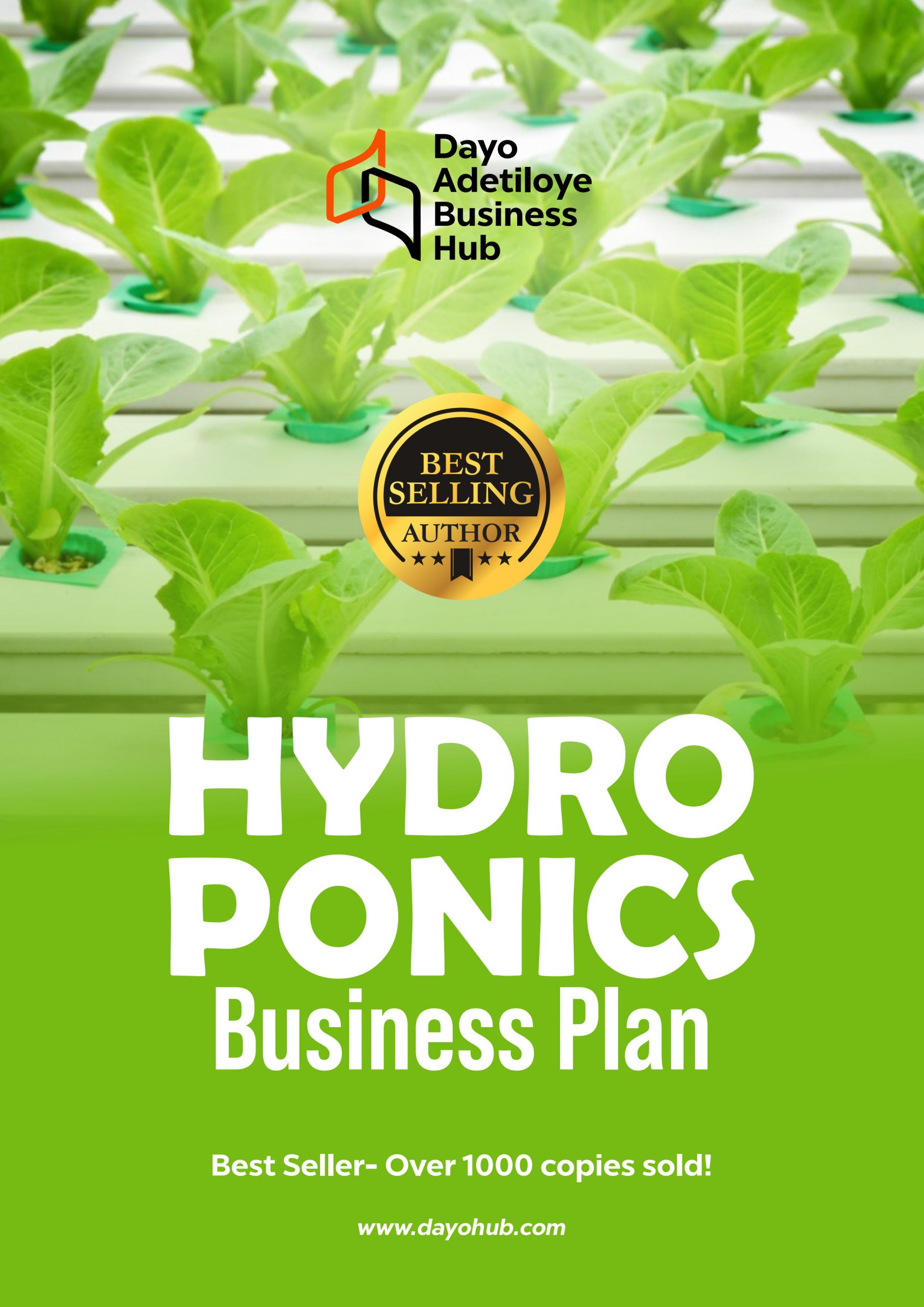 hydroponics business plan doc