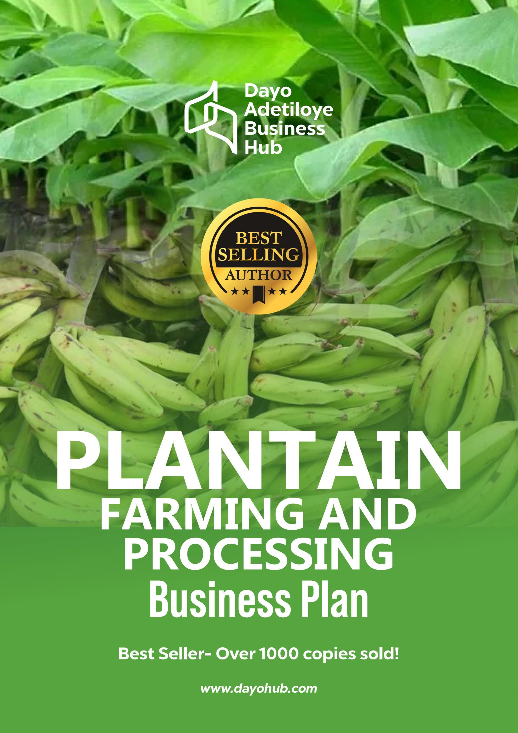 business plan for plantain plantation