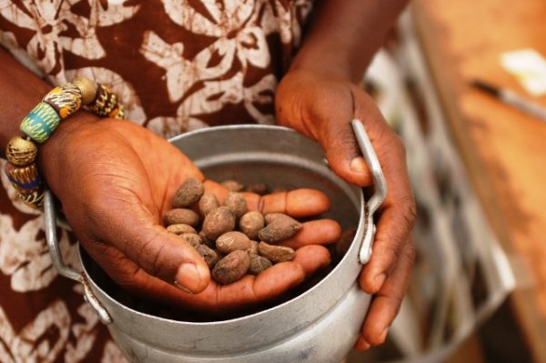 SHEA-BUTTER-PRODUCTION-PROCESSING-BUSINESS-PLAN-IN-NIGERIA-5