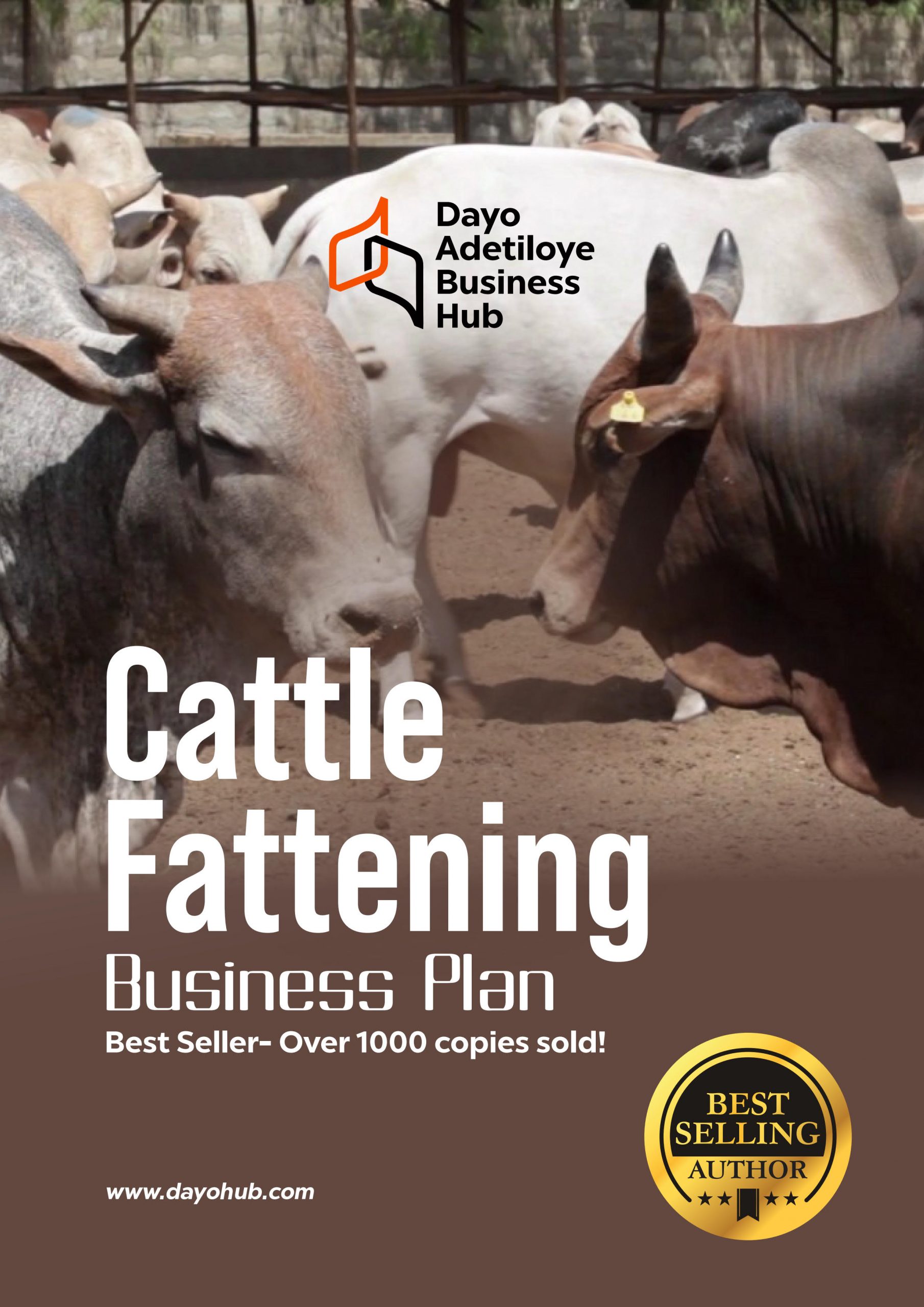 cattle fattening business plan template
