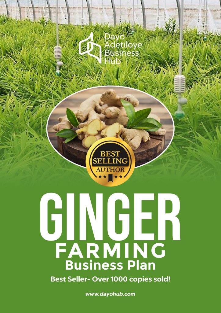 ginger farming business plan