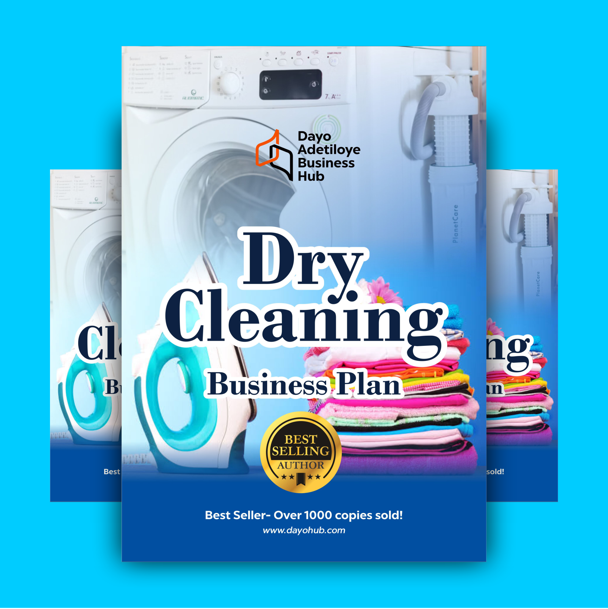 free laundry business plan in nigeria pdf