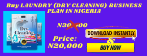 dry cleaning business plan in nigeria