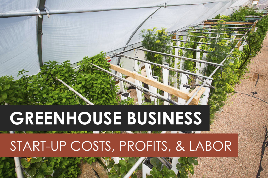 greenhouse business plan in india