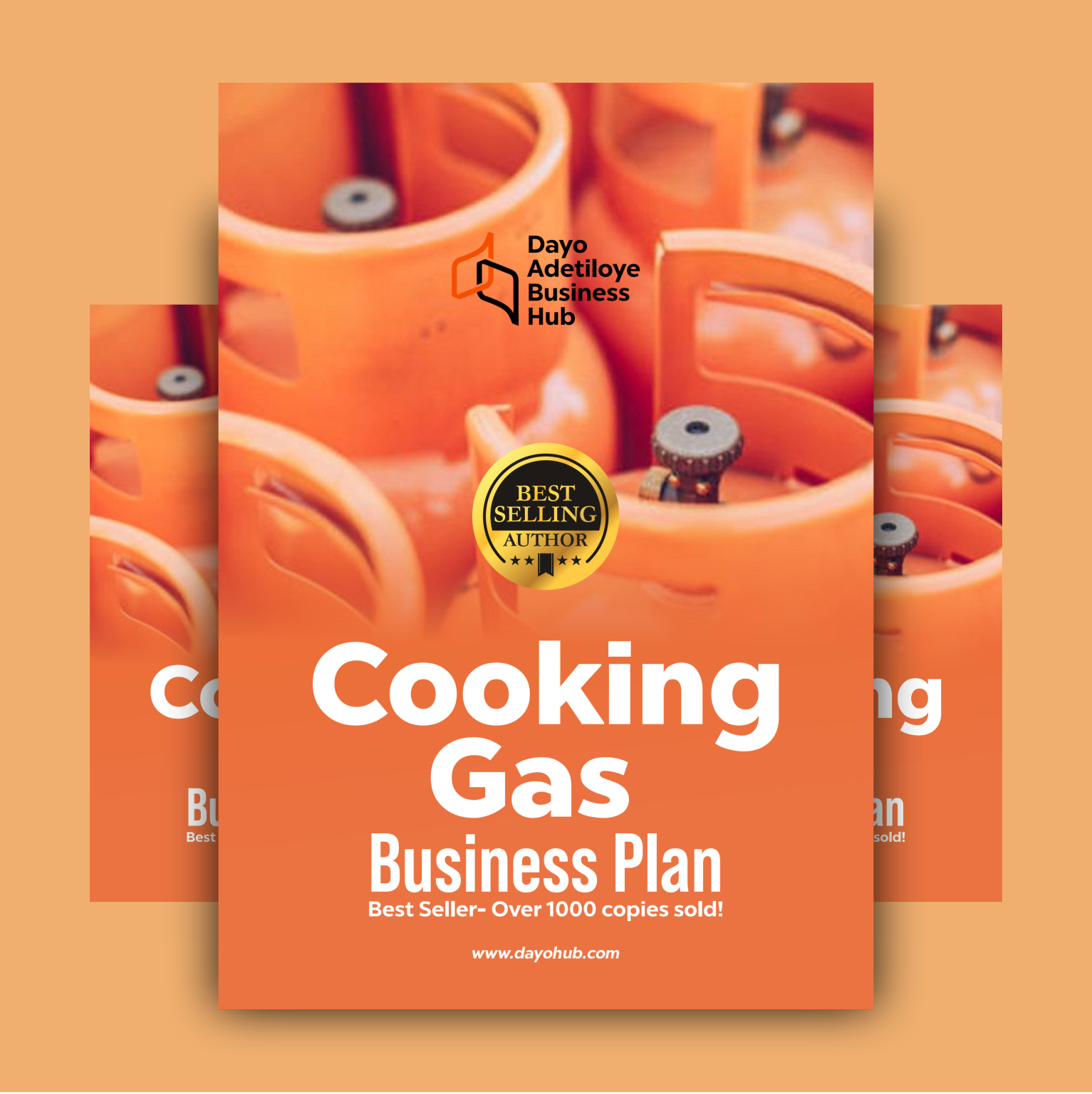 cooking gas business plan in nigeria pdf