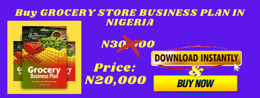 grocery business plan in nigeria