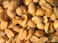 GROUNDNUT FARMING AND PROCESSING BUSINESS PLAN IN NIGERIA