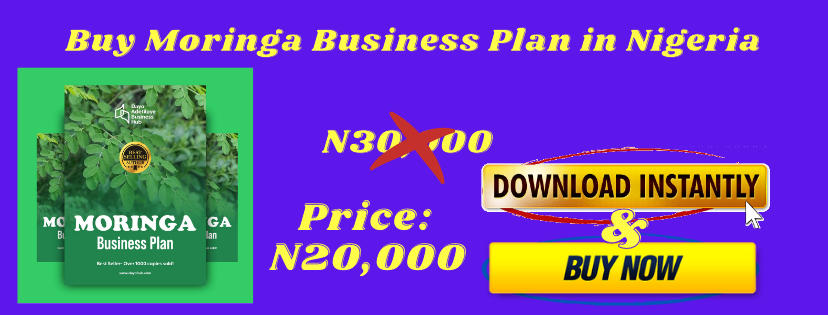 moringa farm business plan pdf