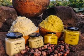 Executive Summary of Shea Butter Business Plani in Nigeria
