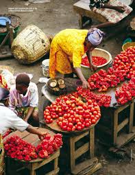 Executive Summary of Tomatoes Business Plan in Nigeria.