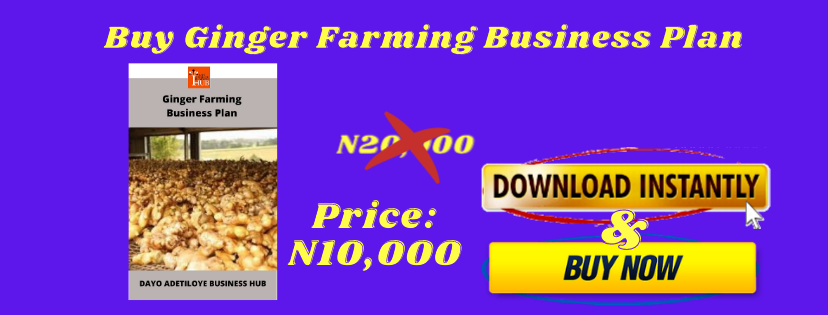 ginger farming business plan pdf