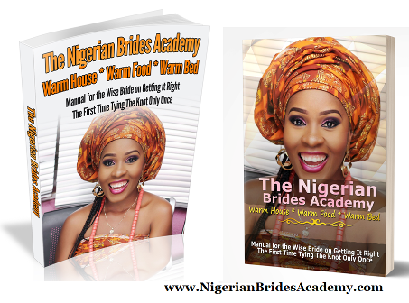 How to Buy The Nigerian Brides Academy Book by Bunmi Apampa and 18 Other Women