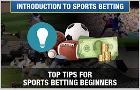 How to Bet on Sports - Tips for Beginners