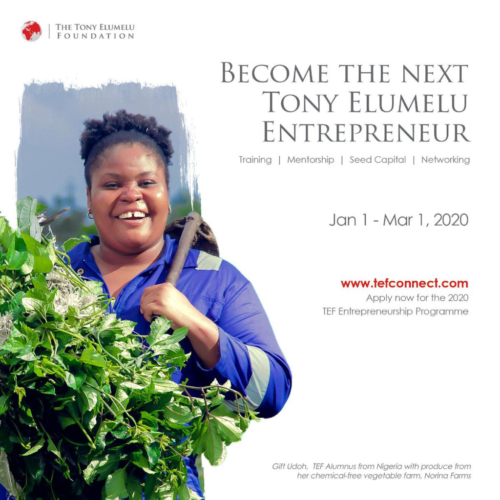 Apply for the 2020 Tony Elumelu Foundation Entrepreneurship Programme