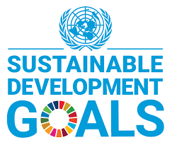United Nations Sustainable Development Goals (SDG) Young Leaders Initiative 2020