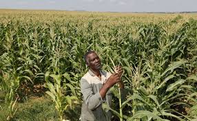 AgricTech Business plan in Nigeria